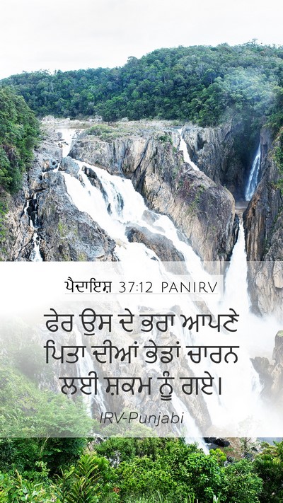 ਪੈਦਾਇਸ਼ 37:12 PANIRV Bible Verse Image