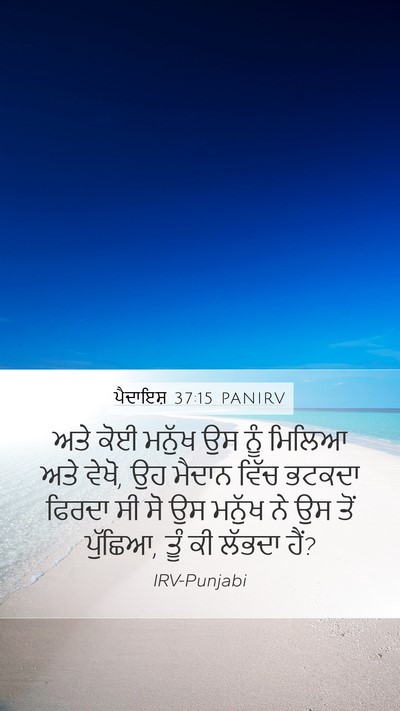 ਪੈਦਾਇਸ਼ 37:15 PANIRV Mobile Phone Wallpaper - ਅਤੇ ਕੋਈ ਮਨੁੱਖ ਉਸ - Mobile Bible Verse Wallpaper