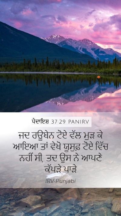 ਪੈਦਾਇਸ਼ 37:29 PANIRV Bible Verse Image