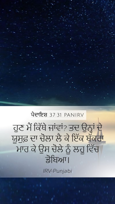 ਪੈਦਾਇਸ਼ 37:31 PANIRV Bible Verse Image