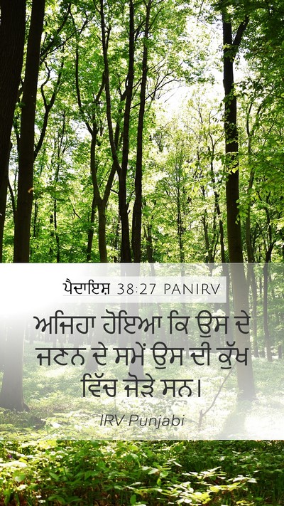 ਪੈਦਾਇਸ਼ 38:27 PANIRV Mobile Phone Wallpaper - ਅਜਿਹਾ ਹੋਇਆ ਕਿ ਉਸ ਦੇ - Mobile Bible Verse Wallpaper