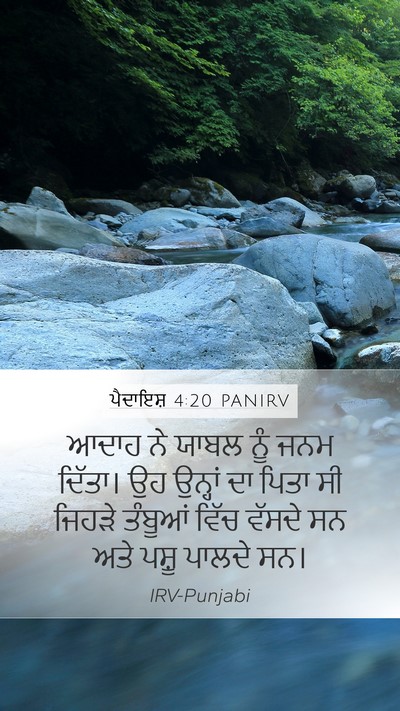 ਪੈਦਾਇਸ਼ 4:20 PANIRV Bible Verse Image