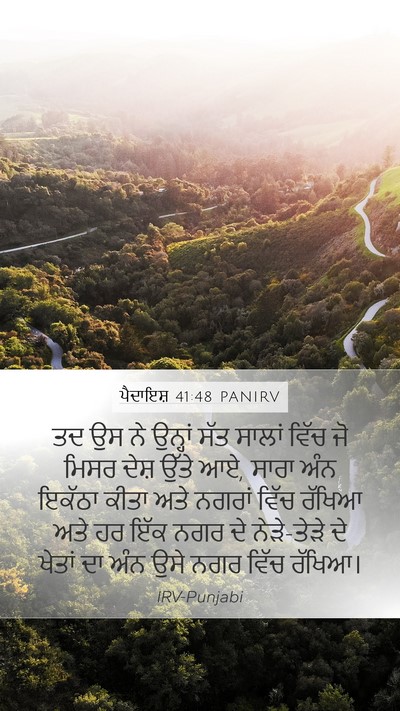 ਪੈਦਾਇਸ਼ 41:48 PANIRV Bible Verse Image