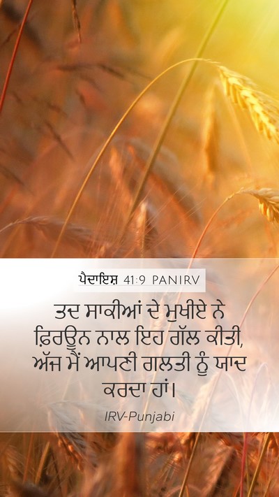 ਪੈਦਾਇਸ਼ 41:9 PANIRV Mobile Phone Wallpaper - ਤਦ ਸਾਕੀਆਂ ਦੇ ਮੁਖੀਏ - Mobile Bible Verse Wallpaper