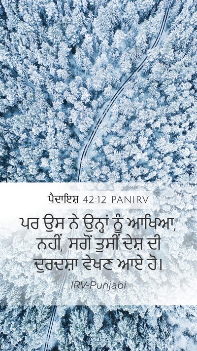 ਪੈਦਾਇਸ਼ 42:12 PANIRV Mobile Phone Wallpaper - ਪਰ ਉਸ ਨੇ ਉਨ੍ਹਾਂ ਨੂੰ - Mobile Bible Verse Wallpaper