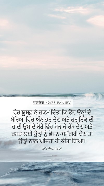 ਪੈਦਾਇਸ਼ 42:25 PANIRV Bible Verse Image