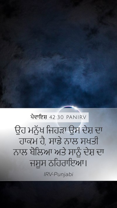ਪੈਦਾਇਸ਼ 42:30 PANIRV Bible Verse Image