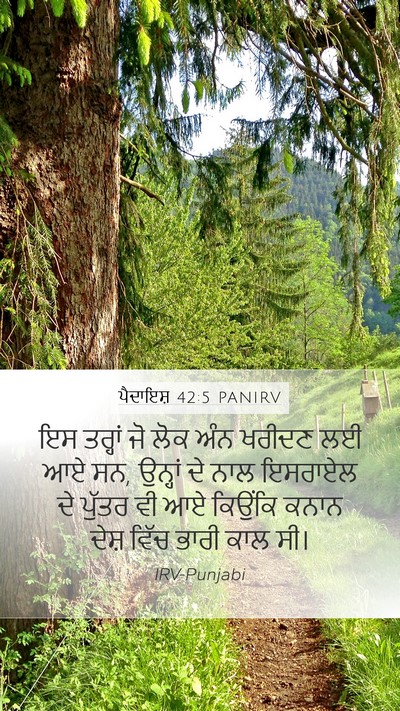 ਪੈਦਾਇਸ਼ 42:5 PANIRV Bible Verse Image