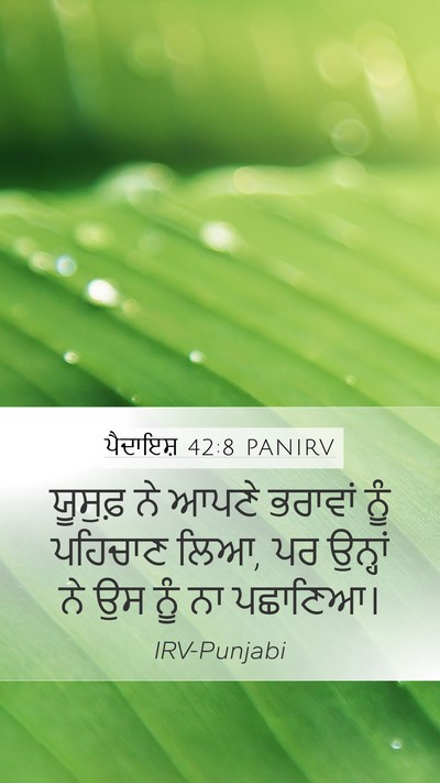 ਪੈਦਾਇਸ਼ 42:8 PANIRV Mobile Phone Wallpaper - ਯੂਸੁਫ਼ ਨੇ ਆਪਣੇ - Mobile Bible Verse Wallpaper