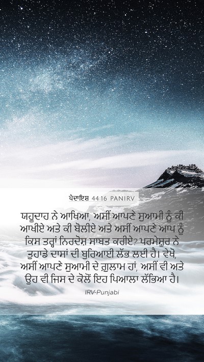 ਪੈਦਾਇਸ਼ 44:16 PANIRV Bible Verse Image