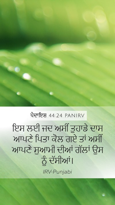 ਪੈਦਾਇਸ਼ 44:24 PANIRV Mobile Phone Wallpaper - ਇਸ ਲਈ ਜਦ ਅਸੀਂ - Mobile Bible Verse Wallpaper