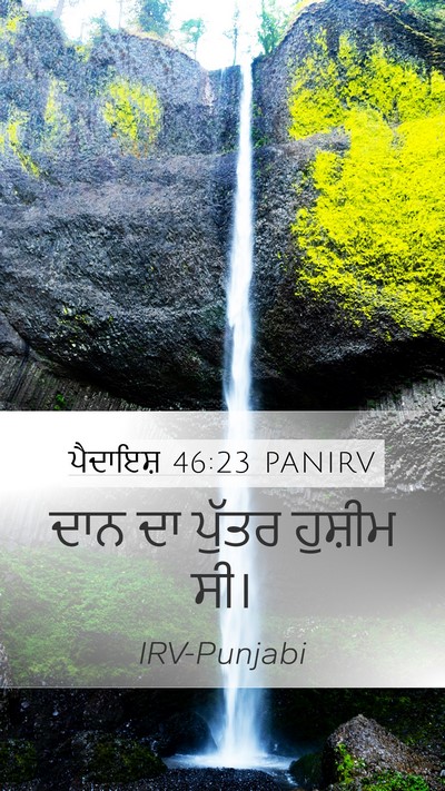 ਪੈਦਾਇਸ਼ 46:23 PANIRV Bible Verse Image
