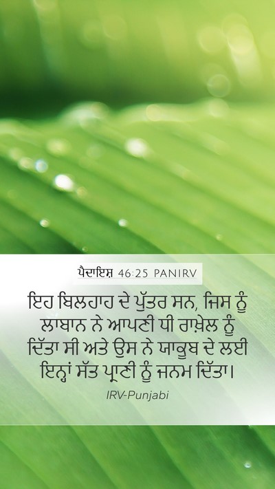 ਪੈਦਾਇਸ਼ 46:25 PANIRV Mobile Phone Wallpaper - ਇਹ ਬਿਲਹਾਹ ਦੇ ਪੁੱਤਰ - Mobile Bible Verse Wallpaper