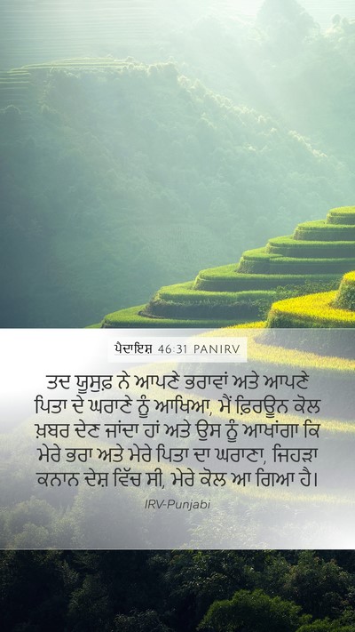ਪੈਦਾਇਸ਼ 46:31 PANIRV Bible Verse Image
