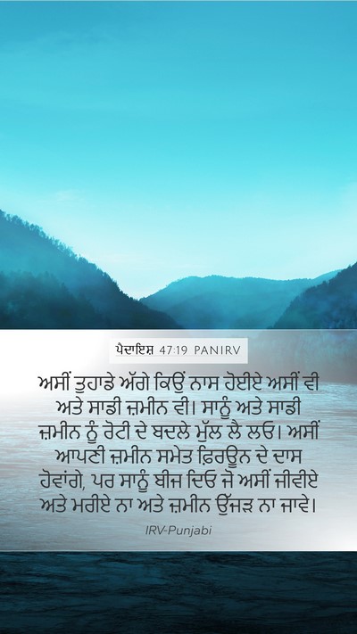 ਪੈਦਾਇਸ਼ 47:19 PANIRV Mobile Phone Wallpaper - ਅਸੀਂ ਤੁਹਾਡੇ ਅੱਗੇ - Mobile Bible Verse Wallpaper