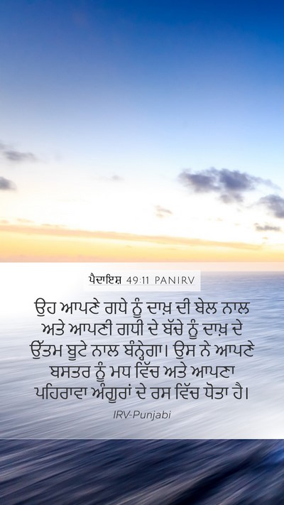 ਪੈਦਾਇਸ਼ 49:11 PANIRV Mobile Phone Wallpaper - ਉਹ ਆਪਣੇ ਗਧੇ ਨੂੰ - Mobile Bible Verse Wallpaper