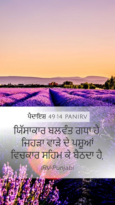 ਪੈਦਾਇਸ਼ 49:14 PANIRV Bible Verse Image