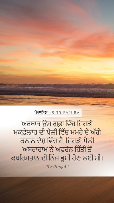 ਪੈਦਾਇਸ਼ 49:30 PANIRV Bible Verse Image