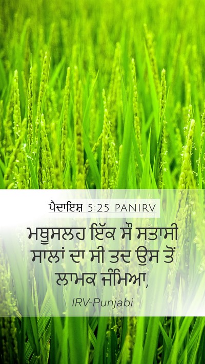 ਪੈਦਾਇਸ਼ 5:25 PANIRV Mobile Phone Wallpaper - ਮਥੂਸਲਹ ਇੱਕ ਸੌ - Mobile Bible Verse Wallpaper