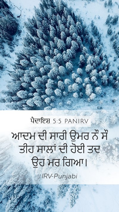 ਪੈਦਾਇਸ਼ 5:5 PANIRV Mobile Phone Wallpaper - ਆਦਮ ਦੀ ਸਾਰੀ ਉਮਰ ਨੌ - Mobile Bible Verse Wallpaper