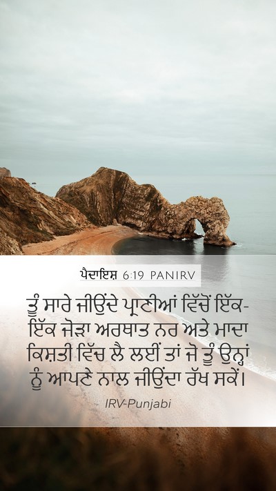 ਪੈਦਾਇਸ਼ 6:19 PANIRV Bible Verse Image