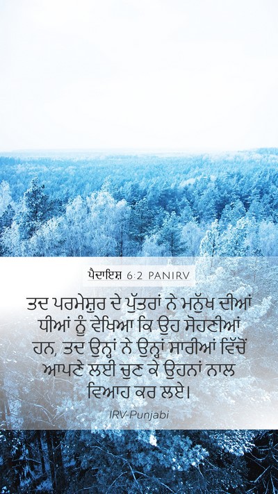 ਪੈਦਾਇਸ਼ 6:2 PANIRV Bible Verse Image