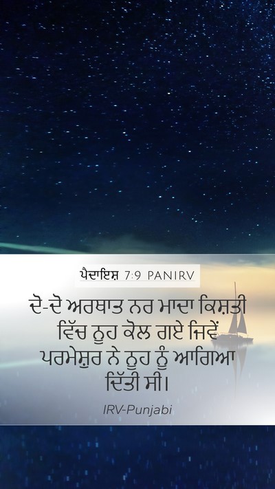 ਪੈਦਾਇਸ਼ 7:9 PANIRV Mobile Phone Wallpaper - ਦੋ-ਦੋ ਅਰਥਾਤ ਨਰ ਮਾਦਾ - Mobile Bible Verse Wallpaper