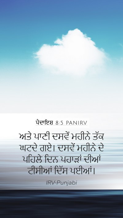 ਪੈਦਾਇਸ਼ 8:5 PANIRV Mobile Phone Wallpaper - ਅਤੇ ਪਾਣੀ ਦਸਵੇਂ - Mobile Bible Verse Wallpaper