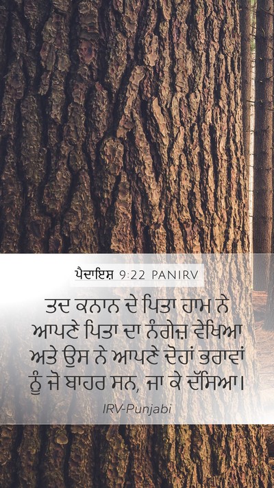 ਪੈਦਾਇਸ਼ 9:22 PANIRV Bible Verse Image