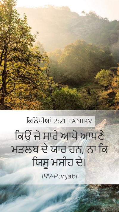 ਫਿਲਿੱਪੀਆਂ 2:21 PANIRV Bible Verse Image