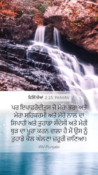 ਫਿਲਿੱਪੀਆਂ 2:25 PANIRV Bible Verse Image