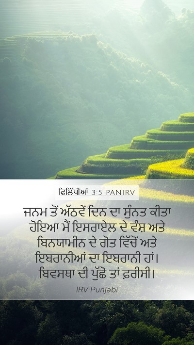 ਫਿਲਿੱਪੀਆਂ 3:5 PANIRV Bible Verse Image