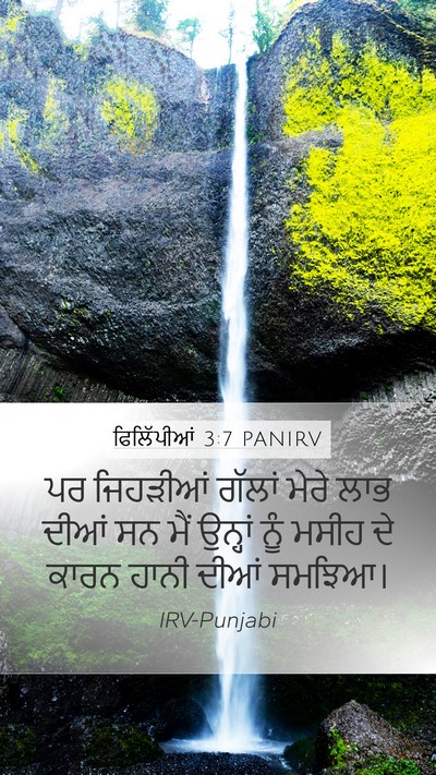 ਫਿਲਿੱਪੀਆਂ 3:7 PANIRV Bible Verse Image