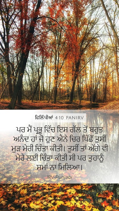 ਫਿਲਿੱਪੀਆਂ 4:10 PANIRV Bible Verse Image