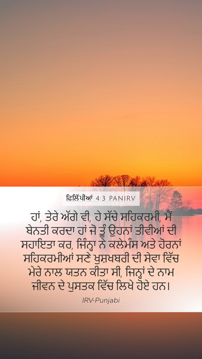 ਫਿਲਿੱਪੀਆਂ 4:3 PANIRV Bible Verse Image