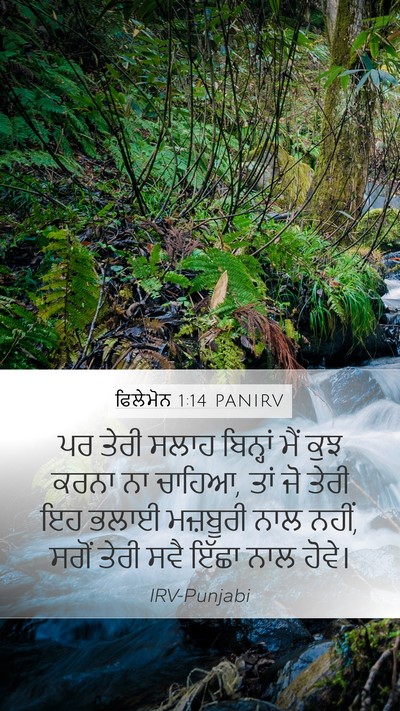 ਫਿਲੇਮੋਨ 1:14 PANIRV Mobile Phone Wallpaper - ਪਰ ਤੇਰੀ ਸਲਾਹ - Mobile Bible Verse Wallpaper