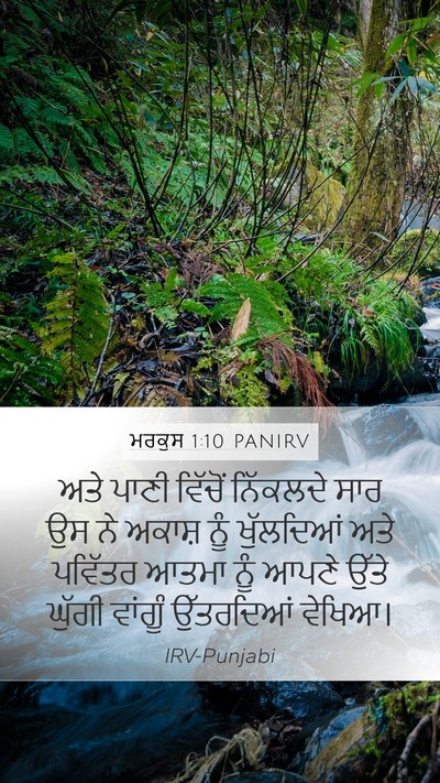 ਮਰਕੁਸ 1:10 PANIRV Bible Verse Image