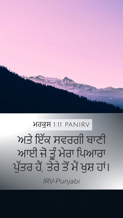 ਮਰਕੁਸ 1:11 PANIRV Bible Verse Image