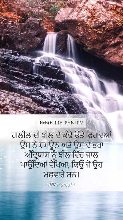 ਮਰਕੁਸ 1:16 PANIRV Bible Verse Image
