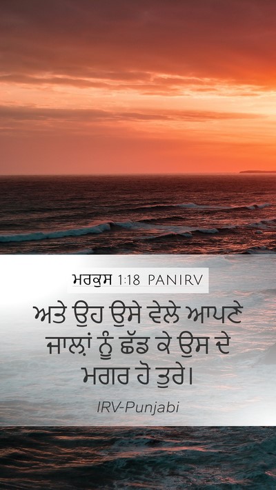 ਮਰਕੁਸ 1:18 PANIRV Bible Verse Image