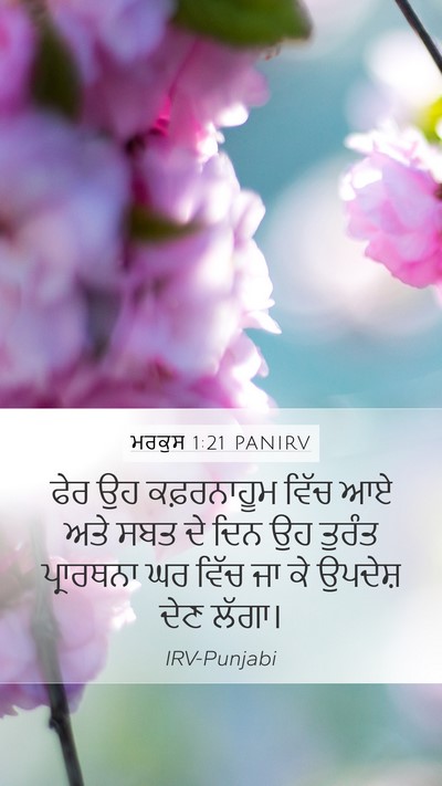 ਮਰਕੁਸ 1:21 PANIRV Bible Verse Image