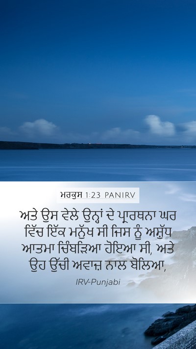 ਮਰਕੁਸ 1:23 PANIRV Bible Verse Image