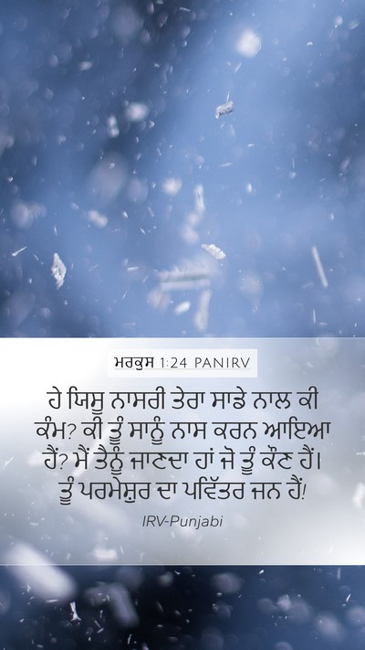ਮਰਕੁਸ 1:24 PANIRV Bible Verse Image
