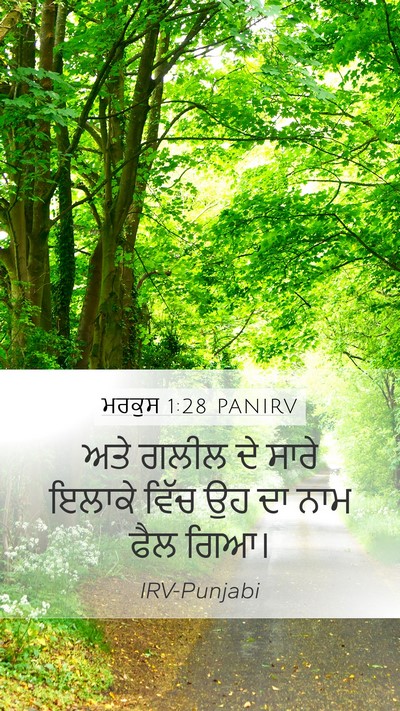 ਮਰਕੁਸ 1:28 PANIRV Bible Verse Image