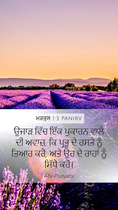ਮਰਕੁਸ 1:3 PANIRV Bible Verse Image