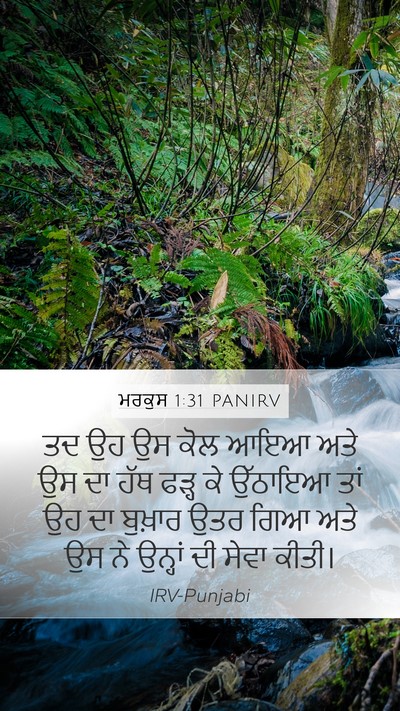 ਮਰਕੁਸ 1:31 PANIRV Bible Verse Image