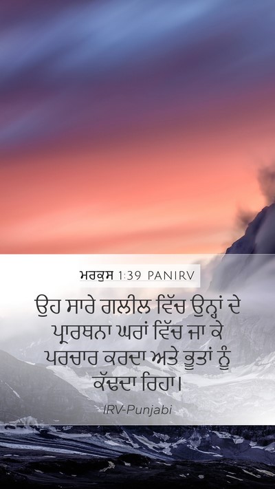 ਮਰਕੁਸ 1:39 PANIRV Bible Verse Image