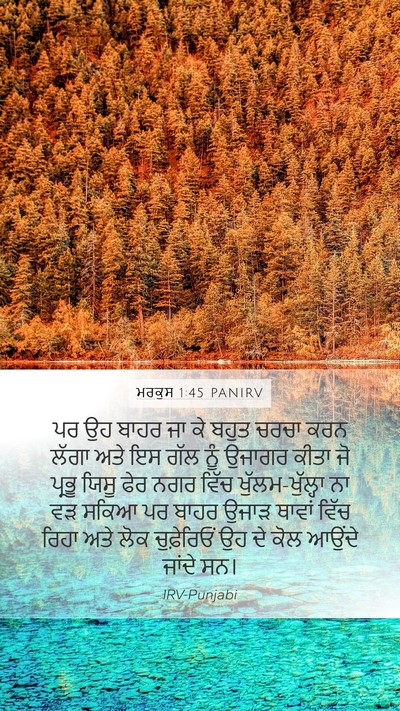 ਮਰਕੁਸ 1:45 PANIRV Bible Verse Image