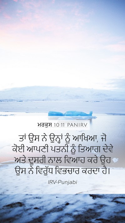 ਮਰਕੁਸ 10:11 PANIRV Bible Verse Image