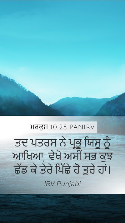 ਮਰਕੁਸ 10:28 PANIRV Bible Verse Image